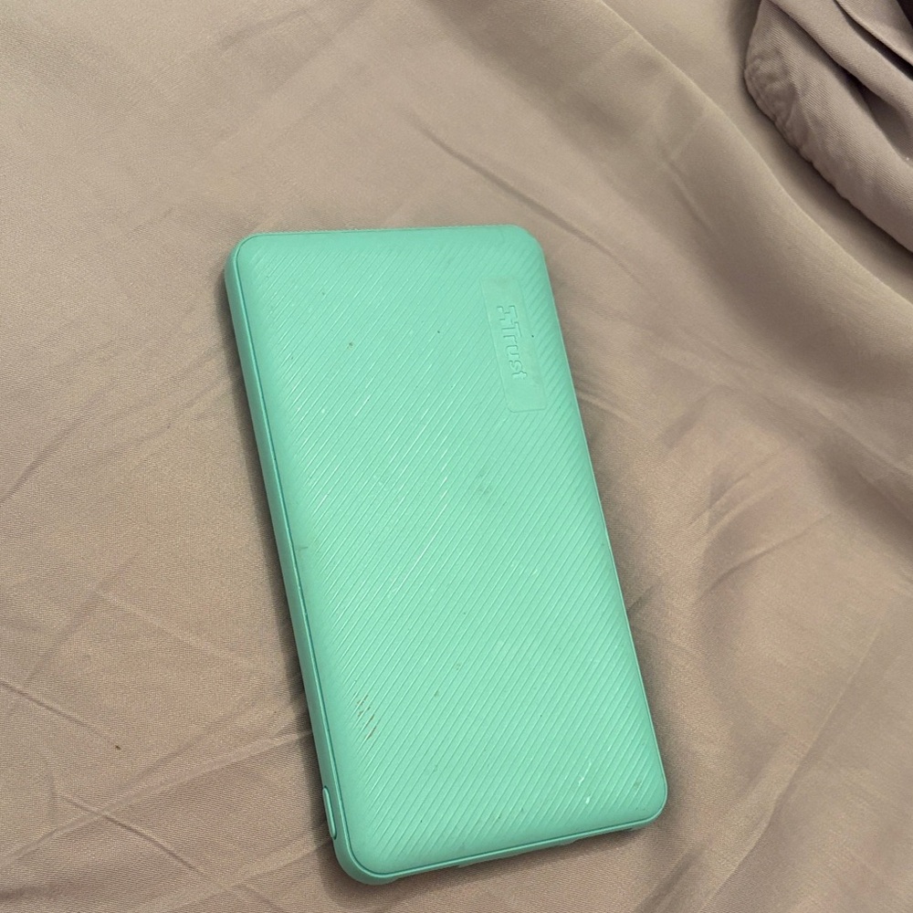 Nintendo Switch Case in Light Green